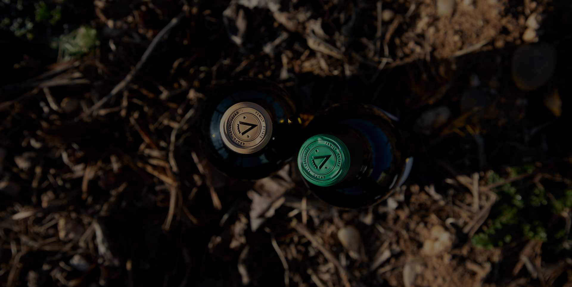 Botellas de vino